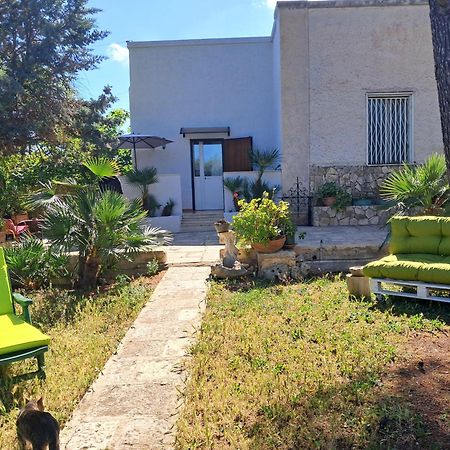 Villa Torre Del Sole Bari Esterno foto