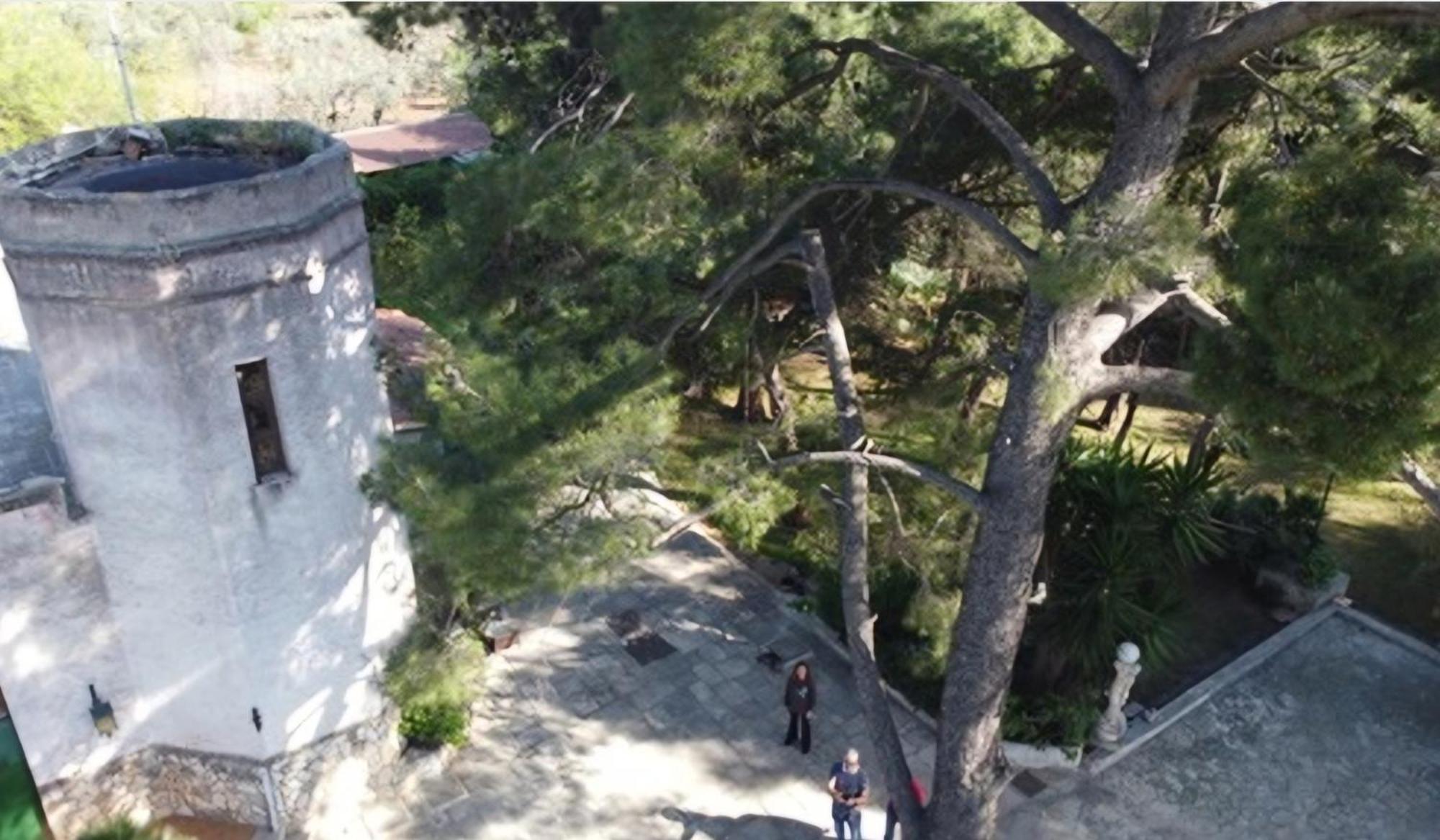 Villa Torre Del Sole Bari Esterno foto