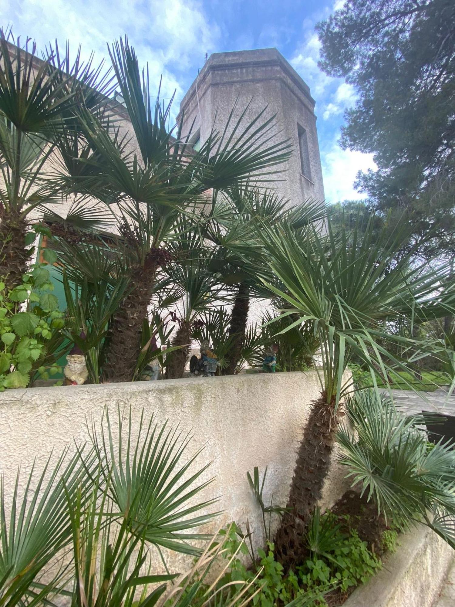 Villa Torre Del Sole Bari Esterno foto