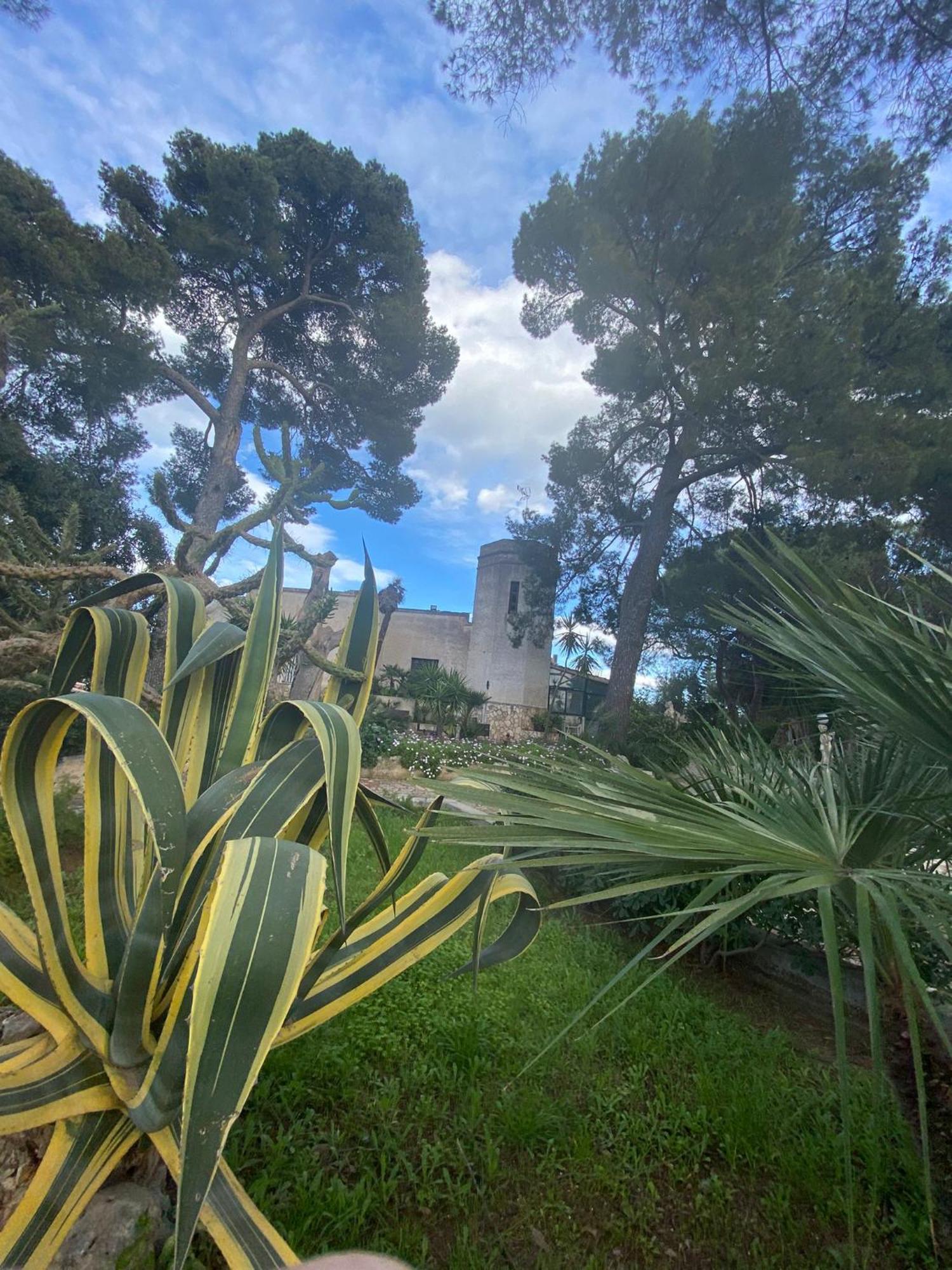 Villa Torre Del Sole Bari Esterno foto